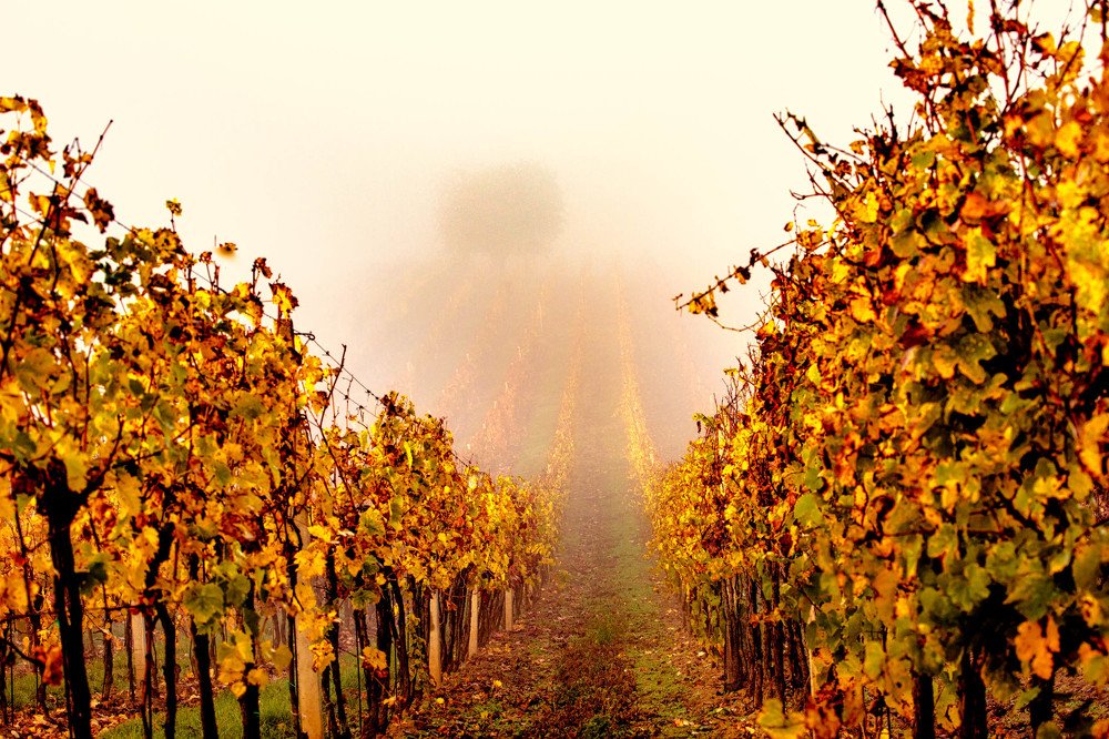 Photograph by Геннадий