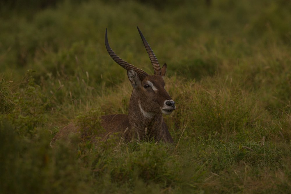 Photograph by Ольга Петруша