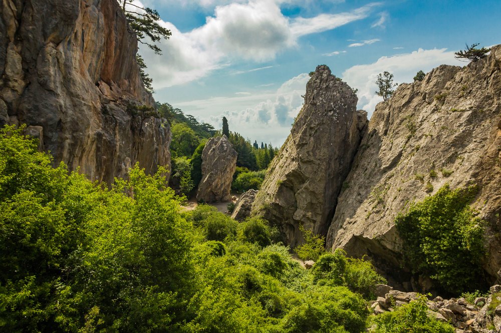 Photograph by Игорь Сидун