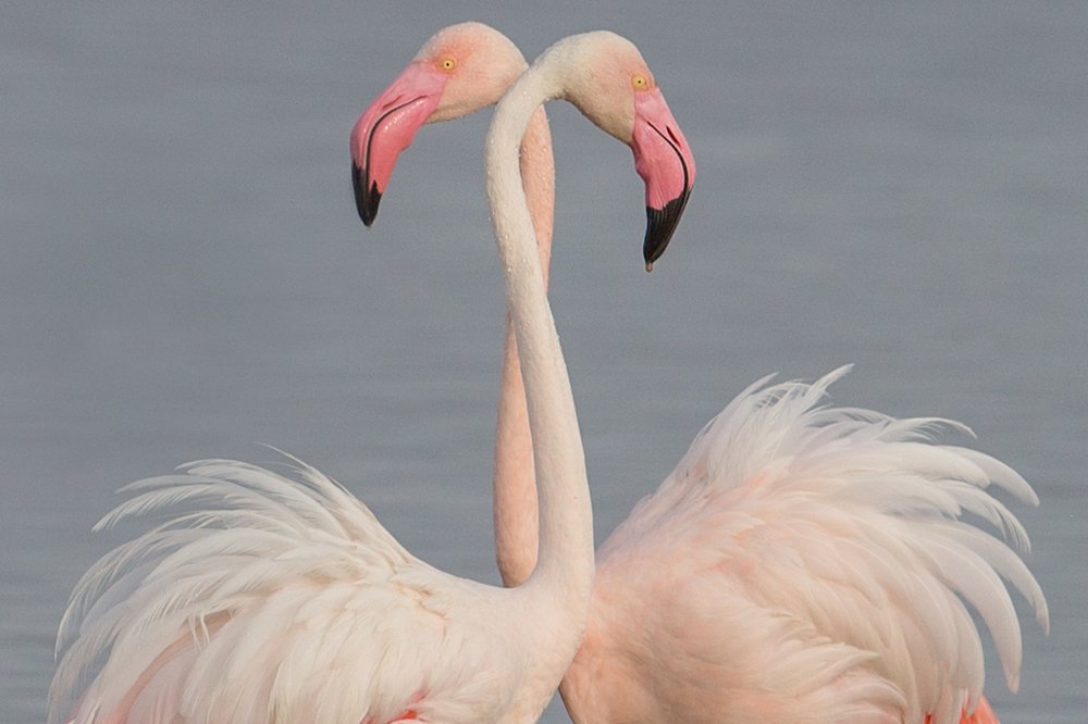 Photograph by Ольга Петруша