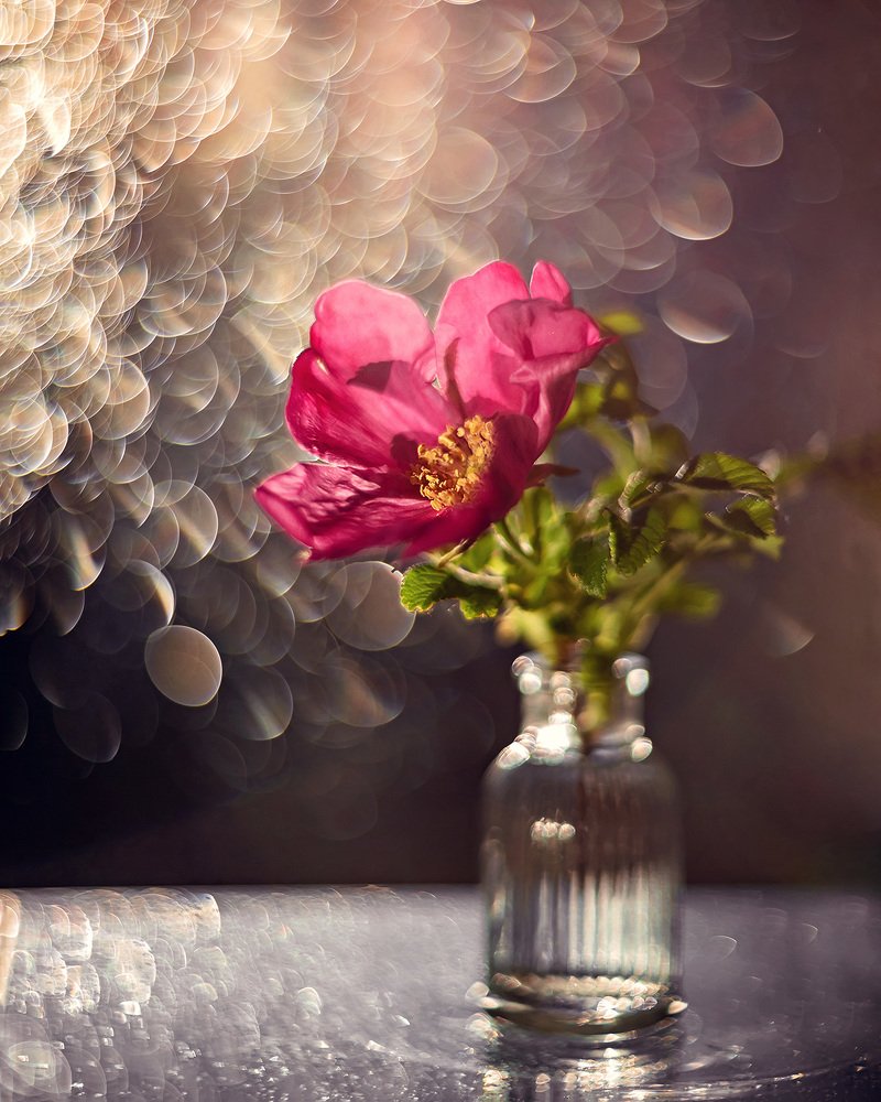 Photograph by Наталья Кабачек