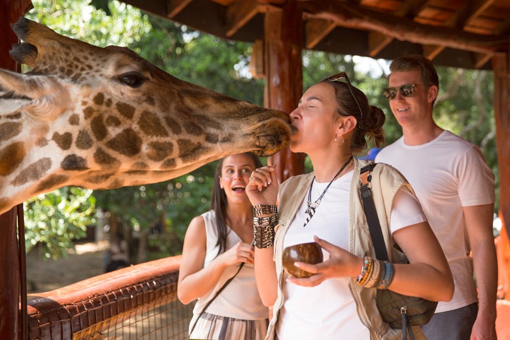 Photograph by Ольга Петруша