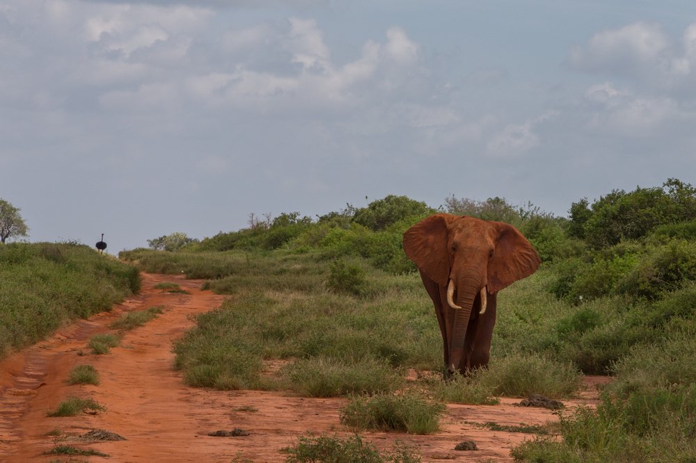 Photograph by Ольга Петруша