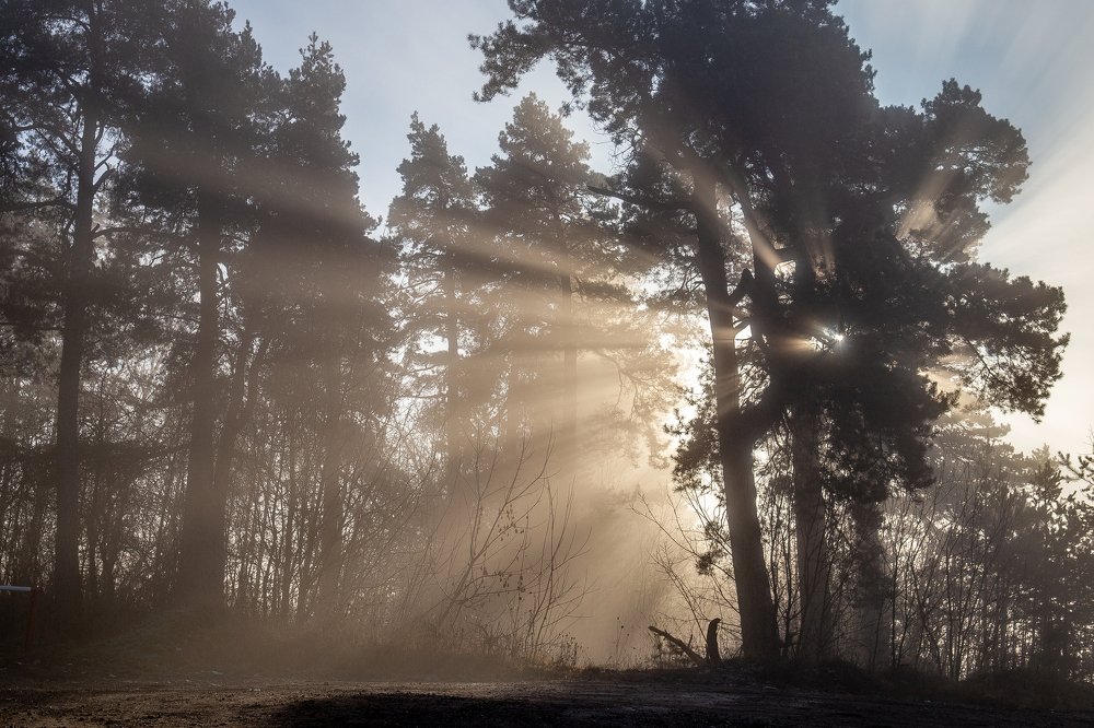 Photograph by Алексей Алексейчик