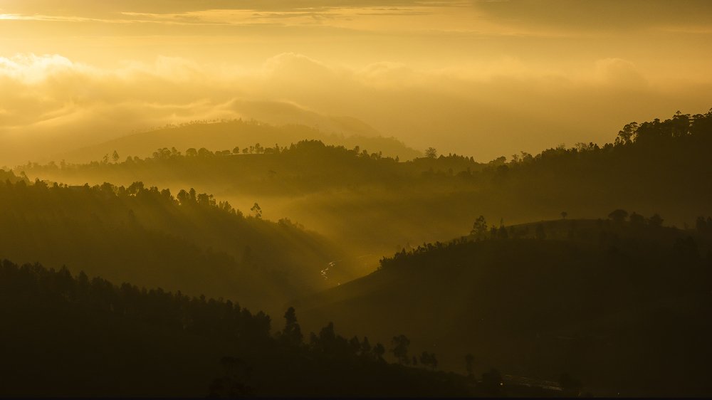 Photograph by Chirag Chordia