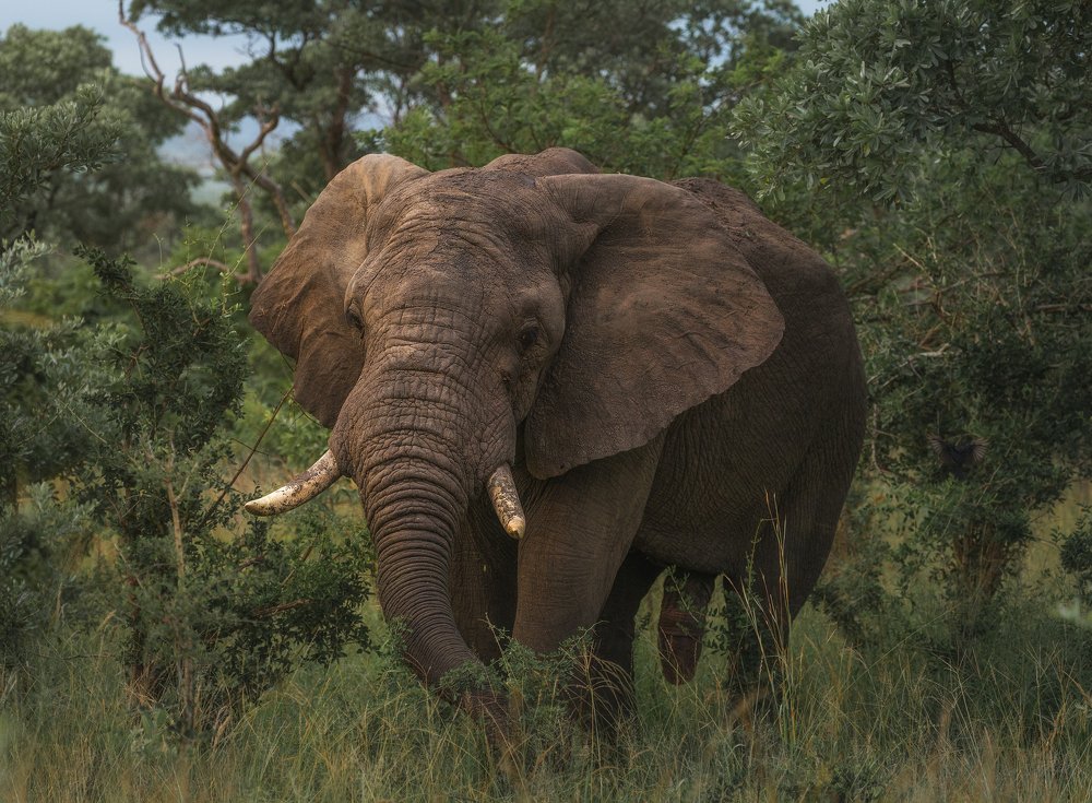 Photograph by Iris Lara