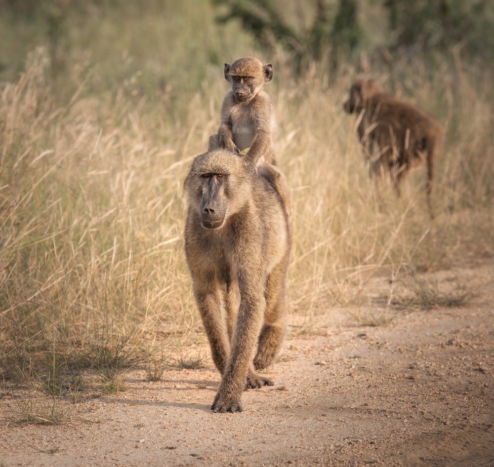 Photograph by Iris Lara