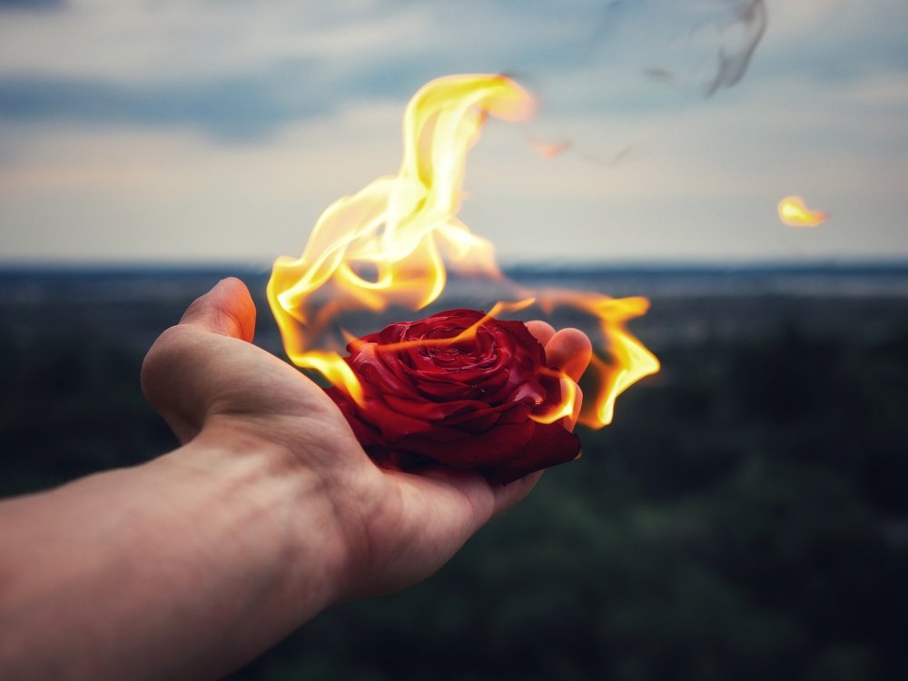 Photograph by Валуйский Владислав