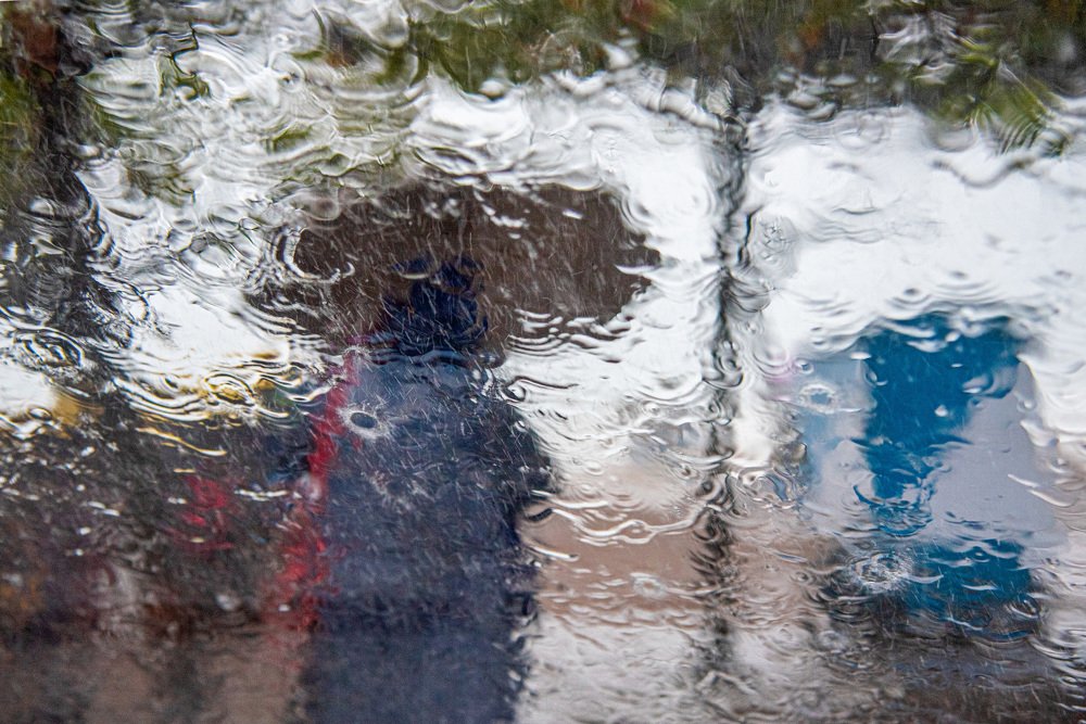 Photograph by Ajayan Kavungal Anat