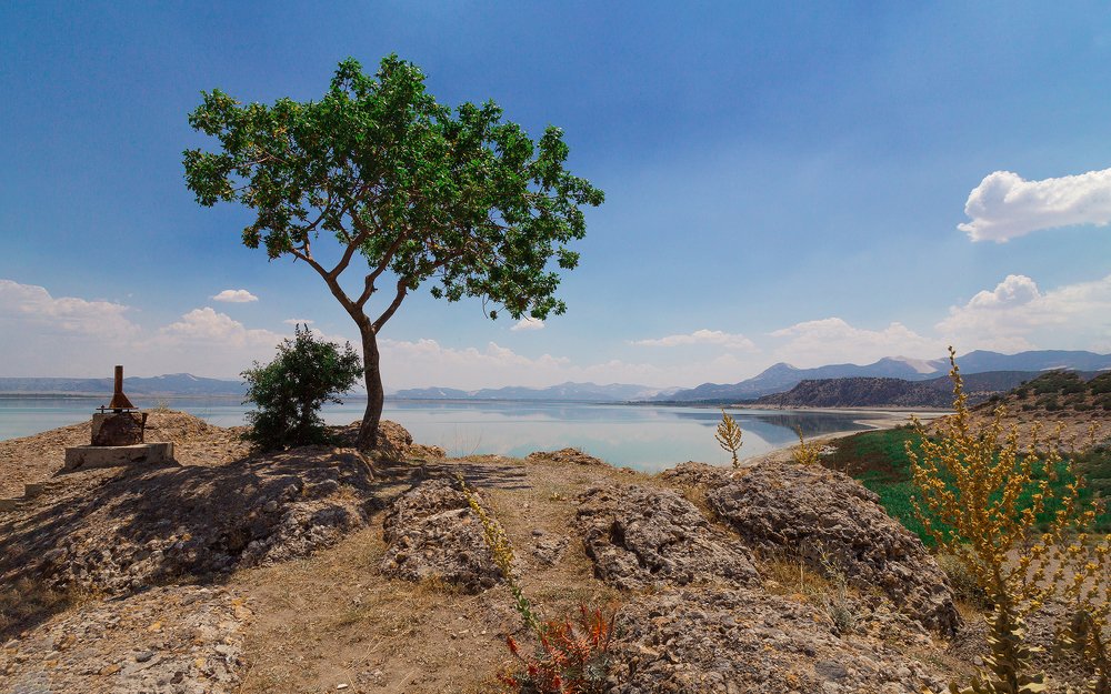 Photograph by  мотырев