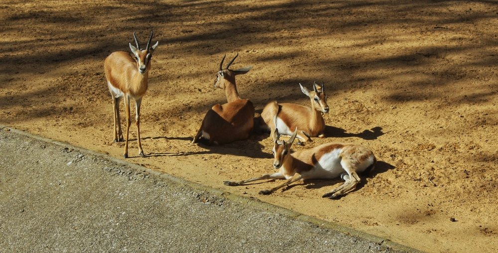 Photograph by Mina Stojadinović