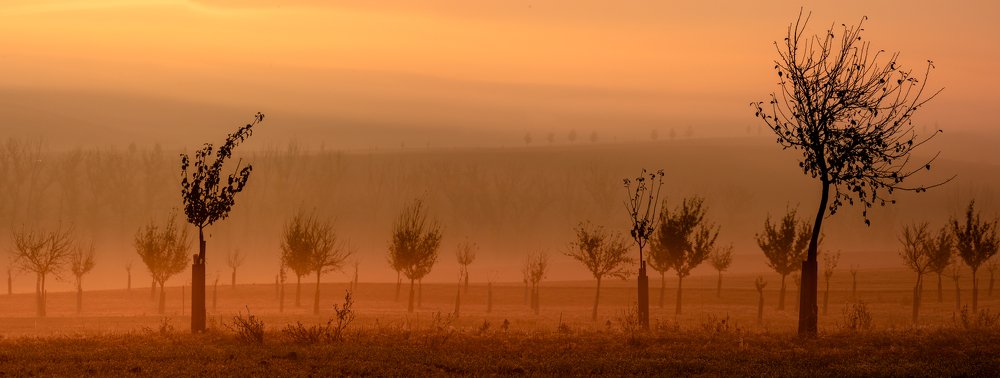 Photograph by Геннадий