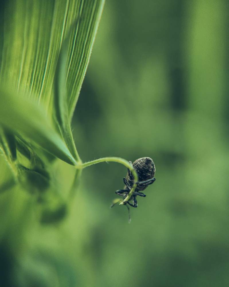 Photograph by Мария Фак