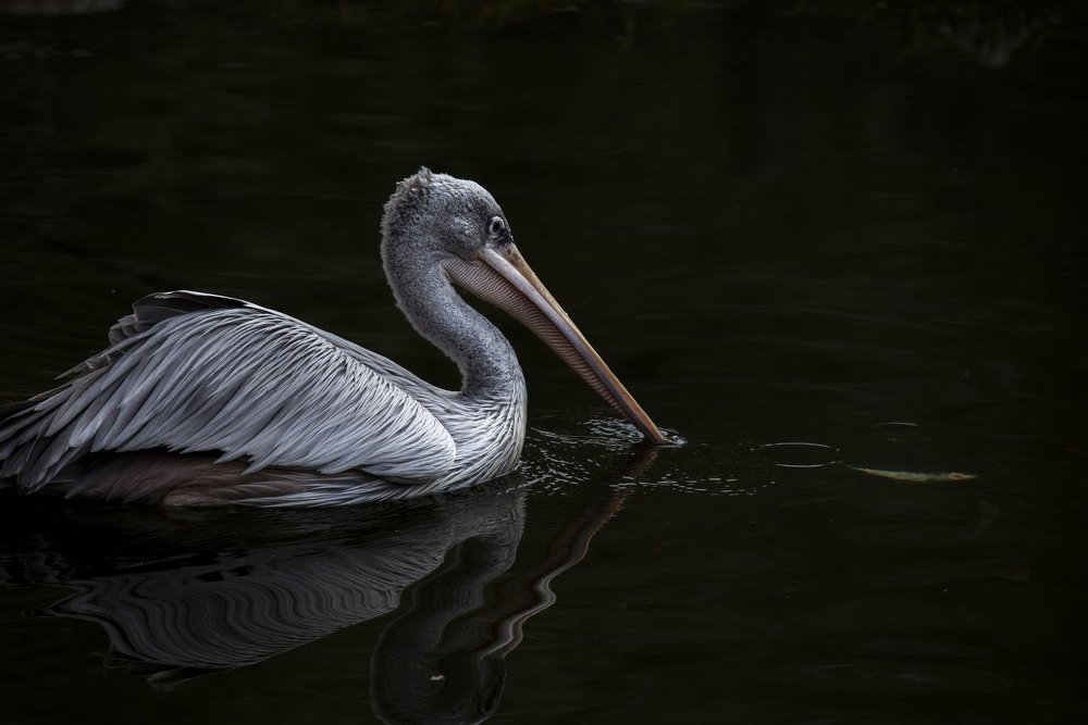 Photograph by Jaylord Plaza