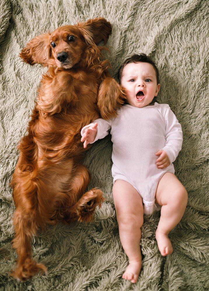 Photograph by Араик Аведикян