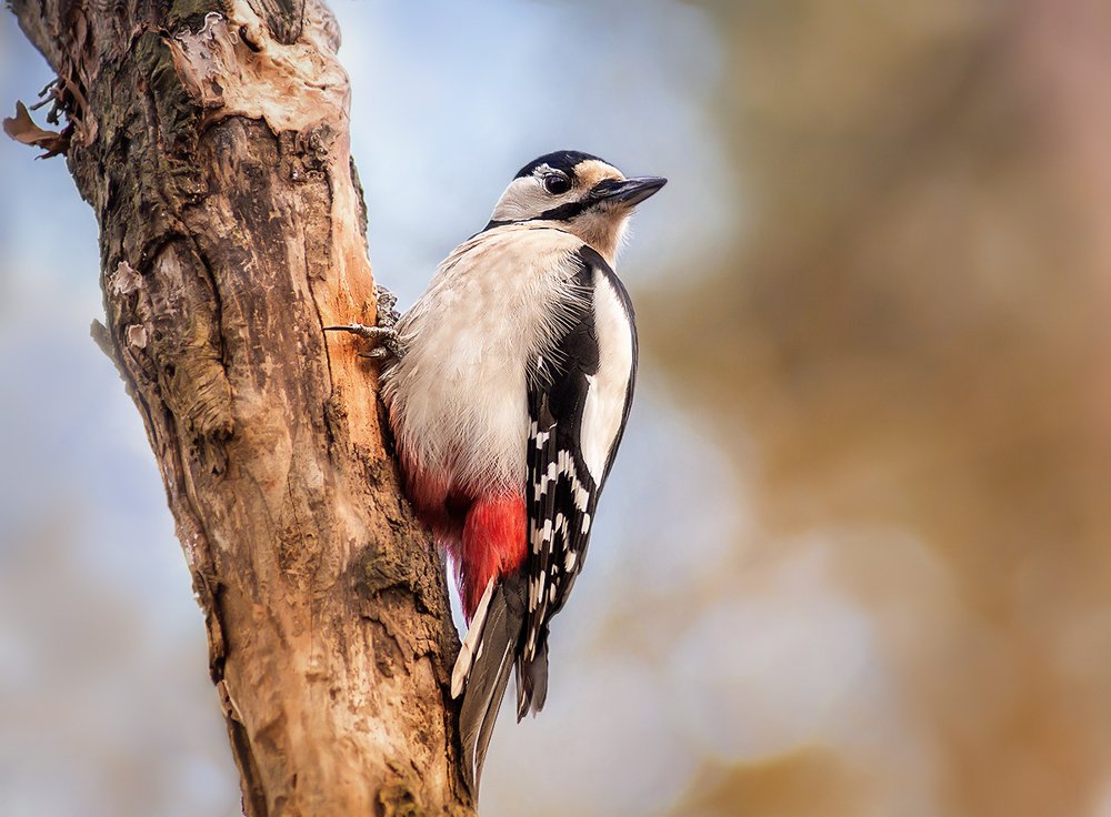 Photograph by Татьяна Москальчук