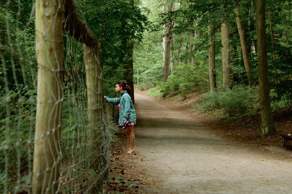 Фотография автора Kateryna Pronina