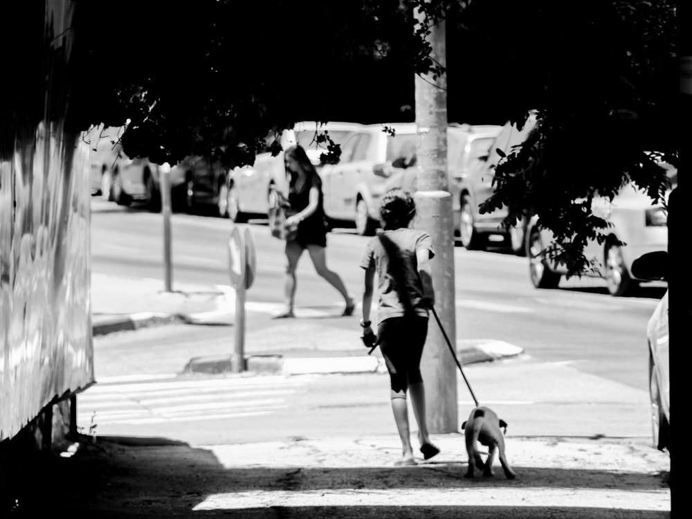 Photograph by Алексей