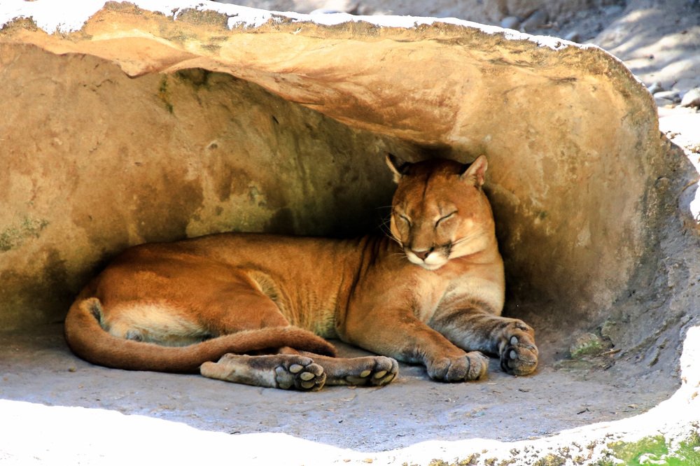 Фотография автора Juan Carlos Castillo
