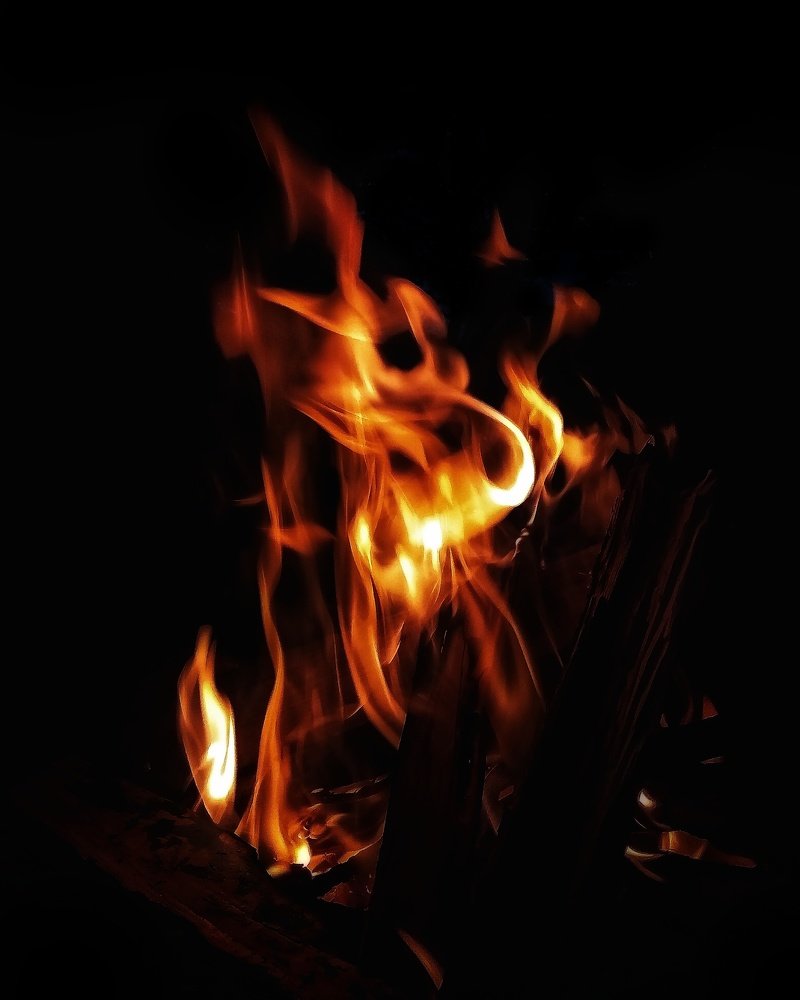 Photograph by Светлана Безъязычная