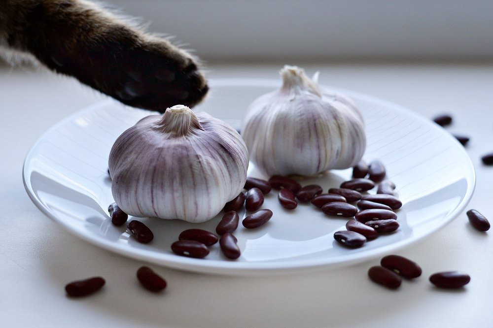 Photograph by Татьяна Скляр