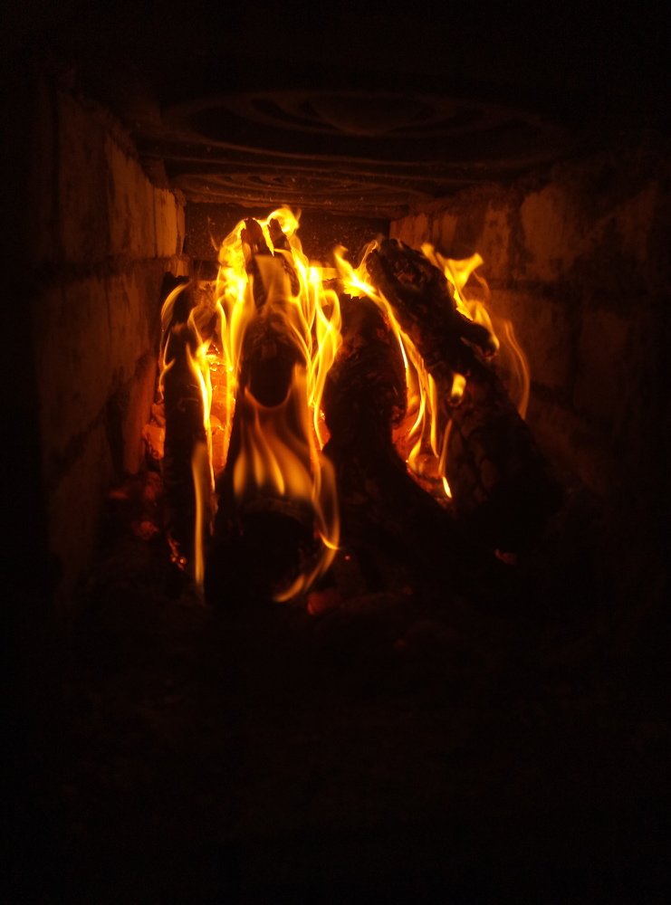 Photo #4730626