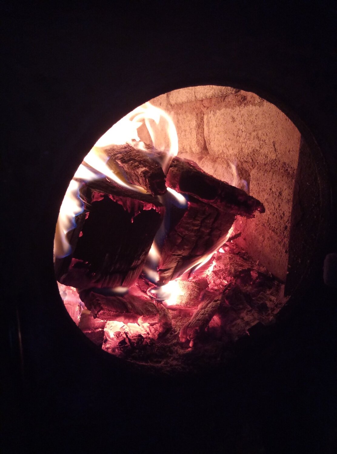 Photo #4730627