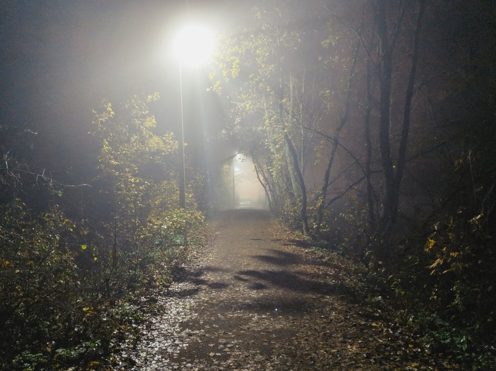 Photograph by Ярослав Красавин