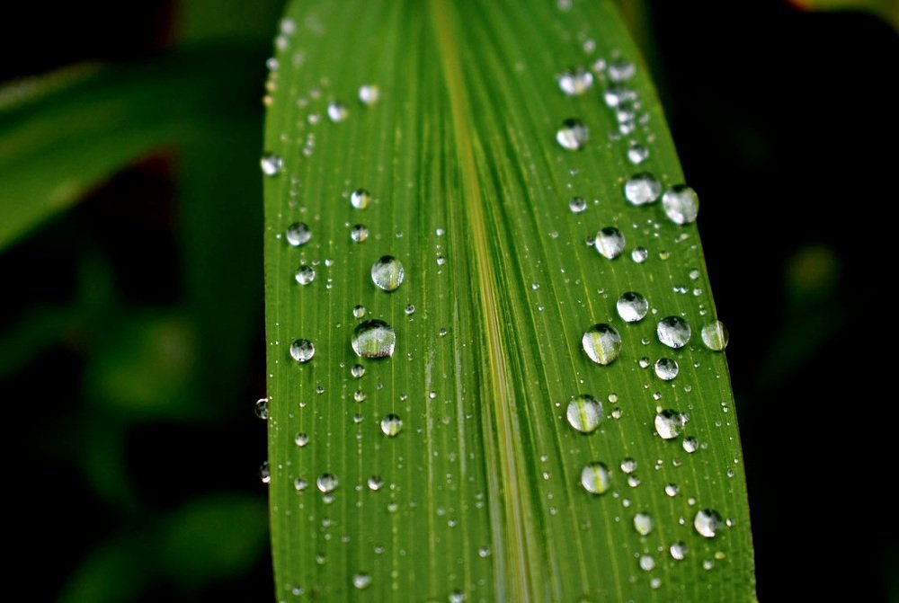 Photograph by Debs Rosales Alberto