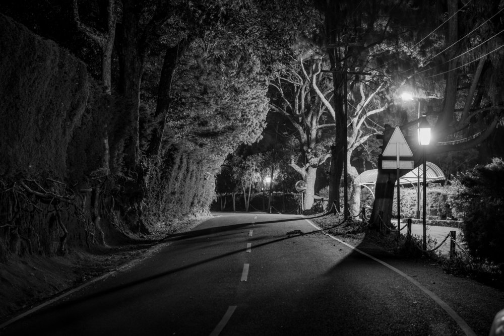 Photograph by Nutan Khedekar