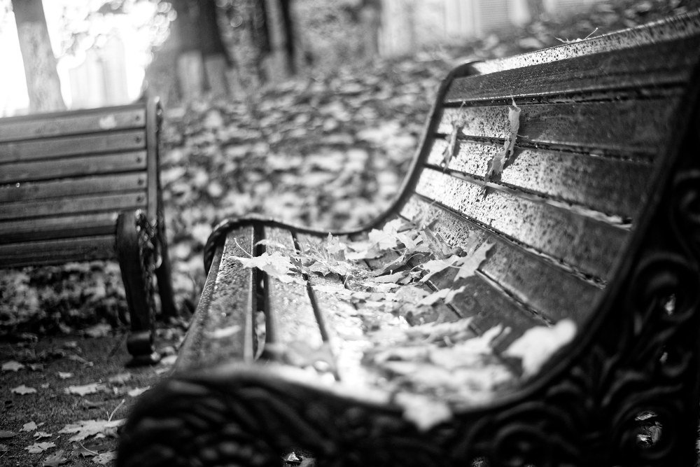 Photograph by Андрей Белоусов