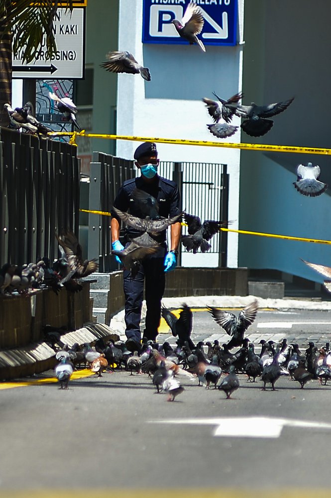 Photograph by Abdul Rahim Sharifudin