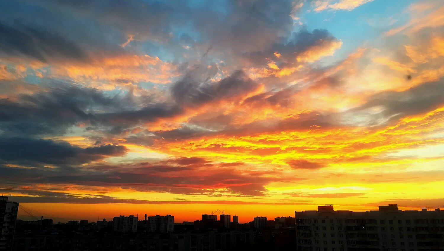 Photo #4730845