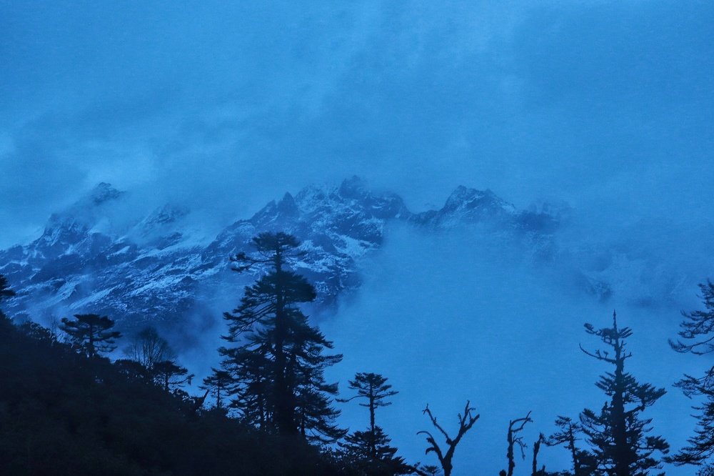 Photograph by Ankita Batabyal