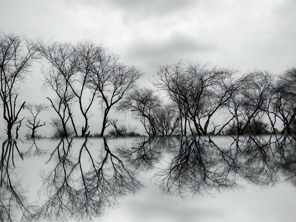 Photograph by Lakshya Sharma