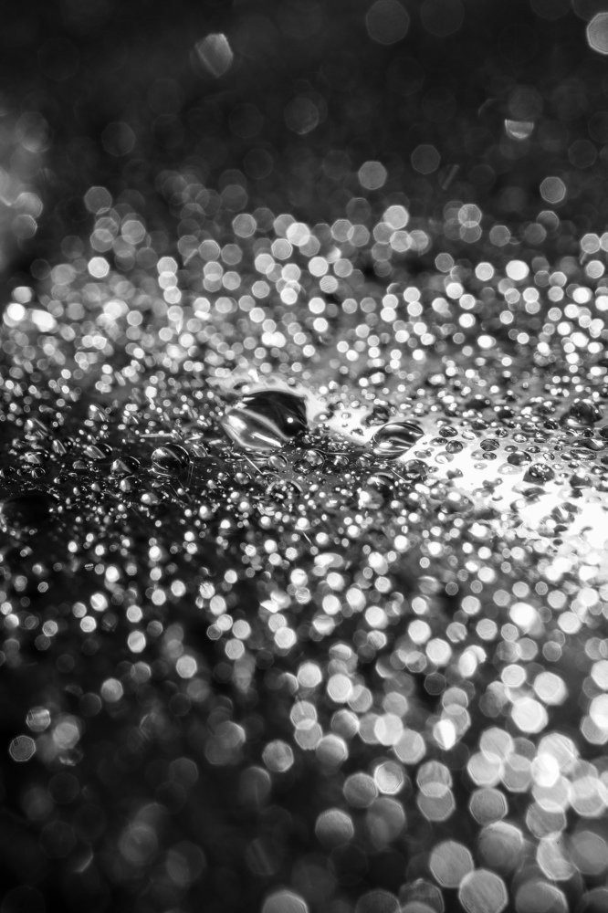 Photograph by Lakshya Sharma