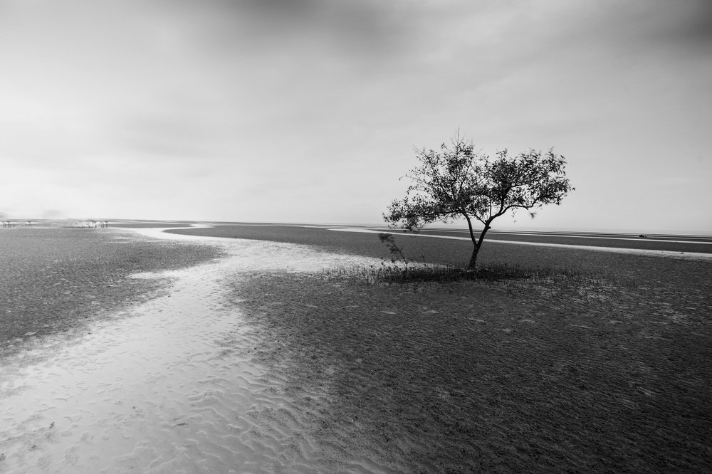 Photograph by Catherine Chong