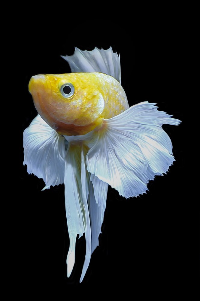 Photograph by Fahrul Rozy