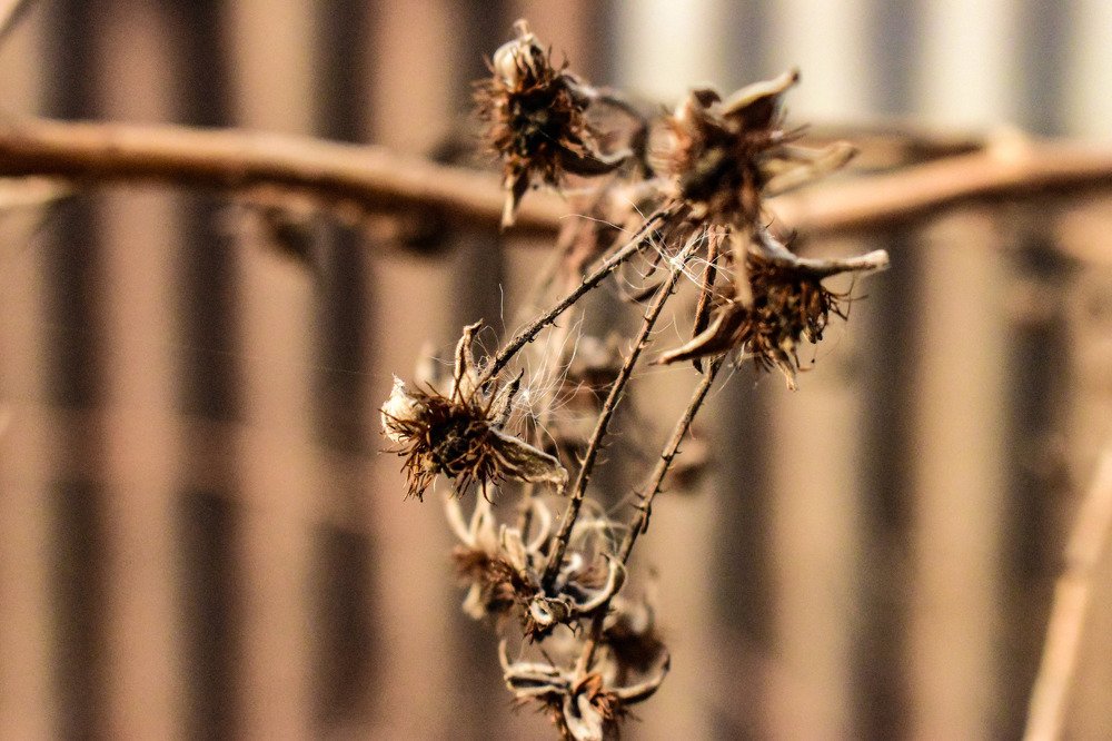 Фотография автора Алина Батын