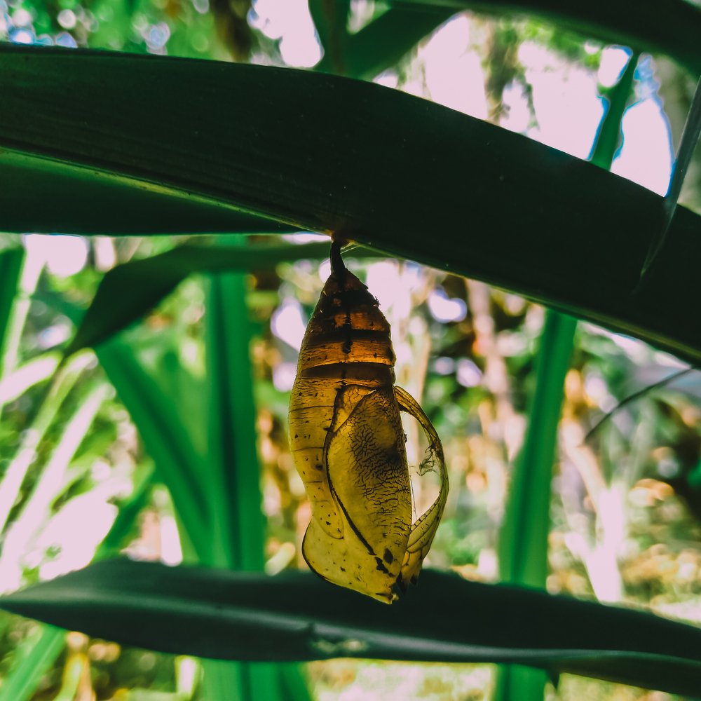 Photograph by Ella Lhe Ramiso