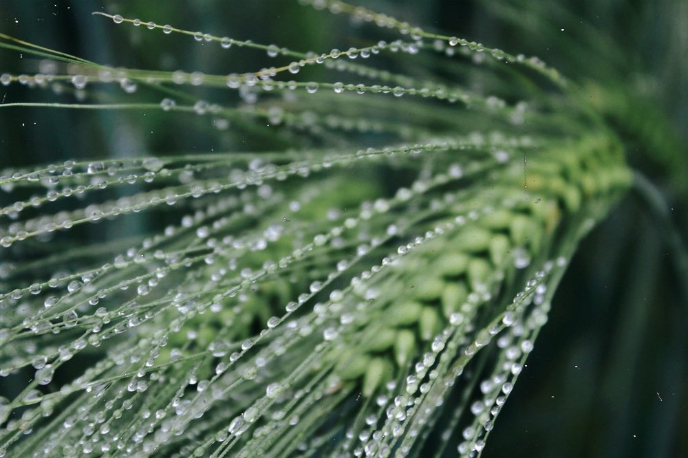 Фотография автора Inna Krekhovetska