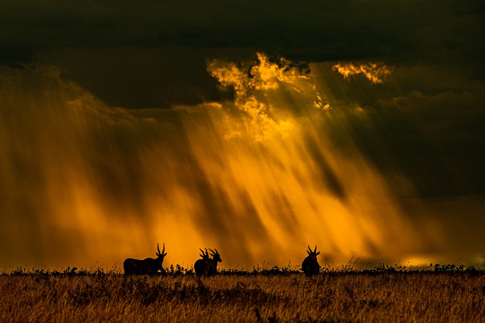 Photograph by Nilesh Shah