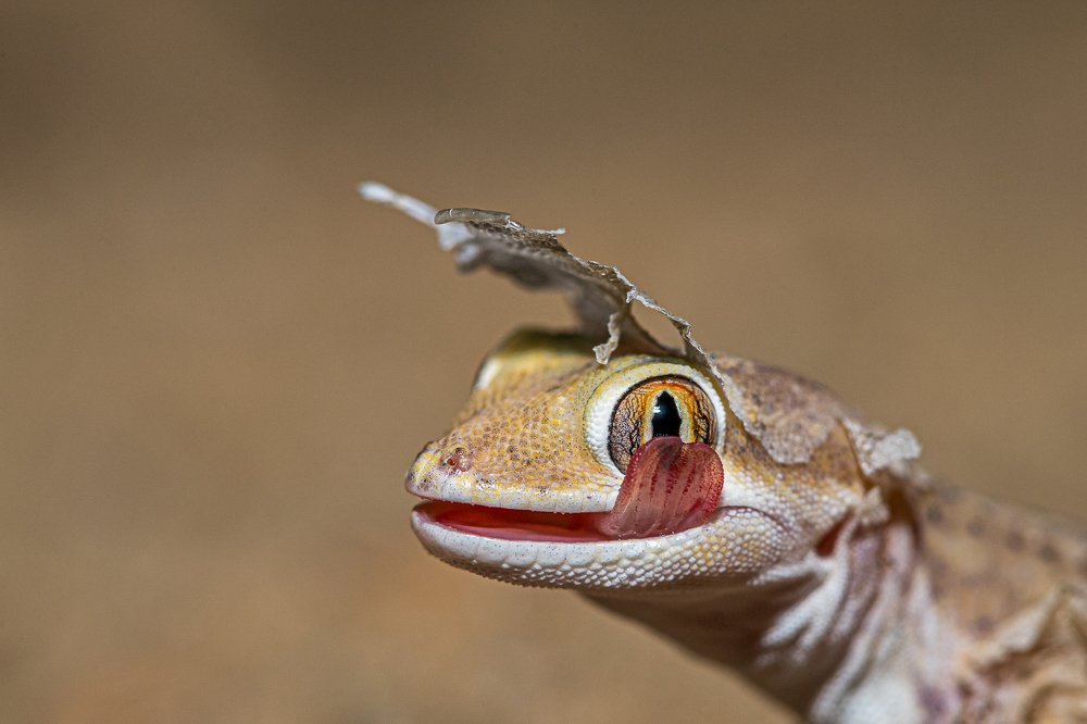 Photograph by Nilesh Shah