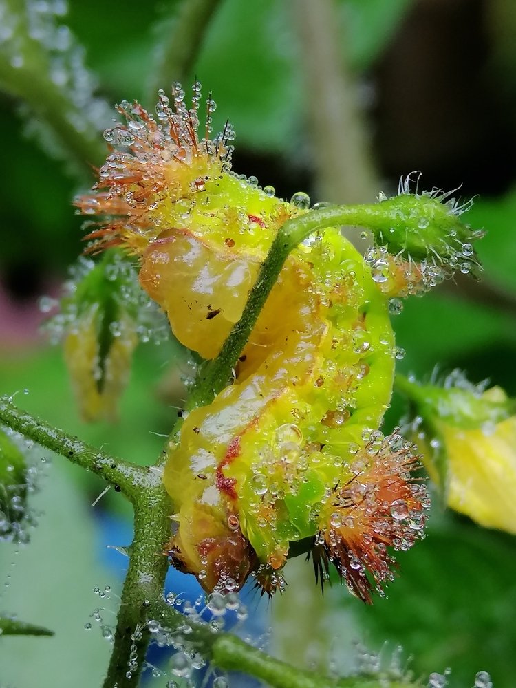 Photograph by Don Ray Marzan