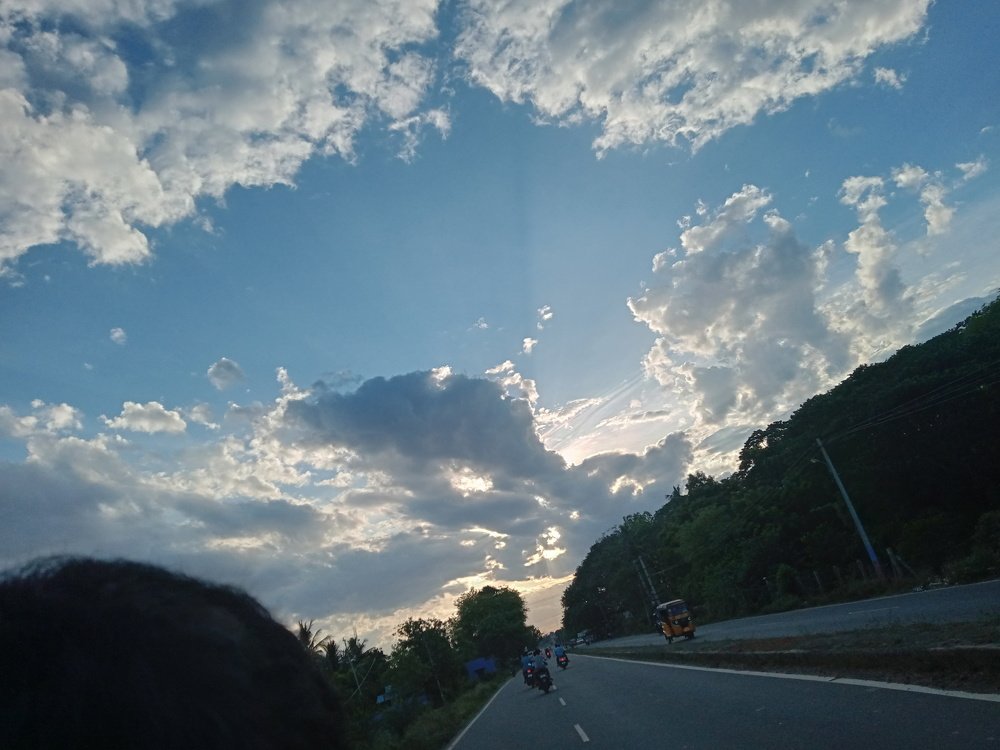Photo #4731284
