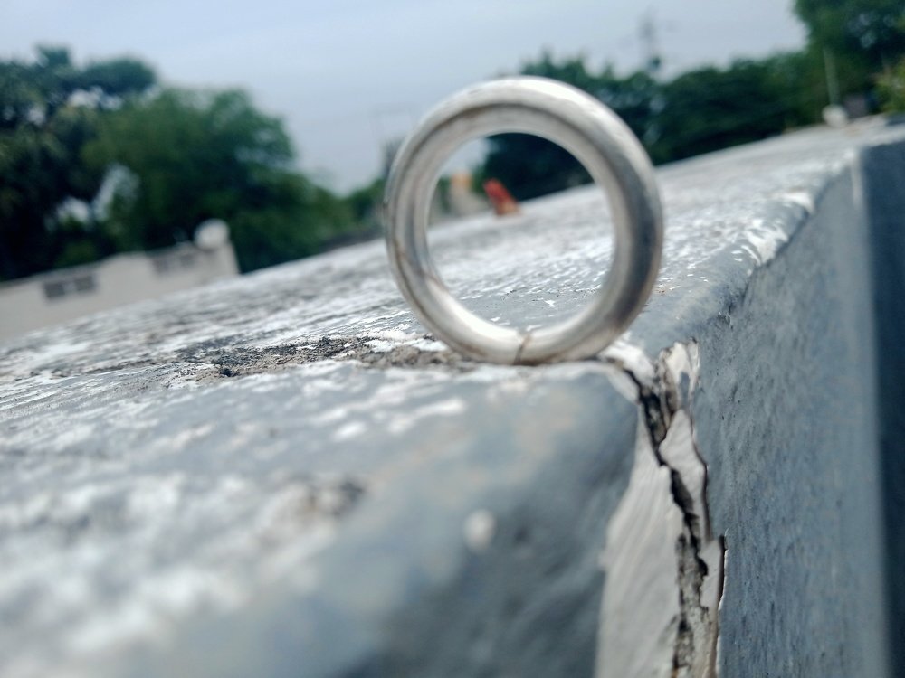 Photo #4731310