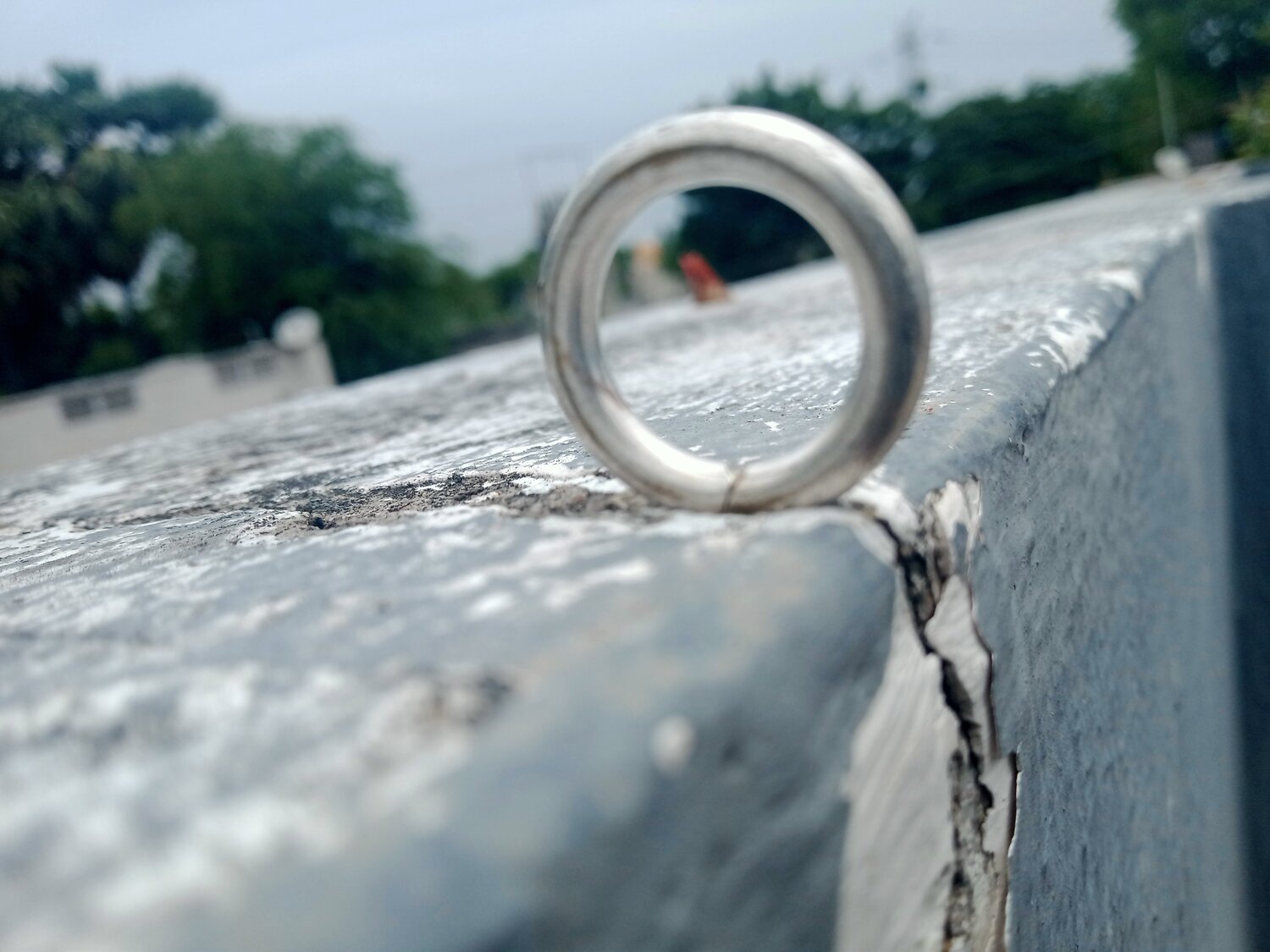 Photo #4731310