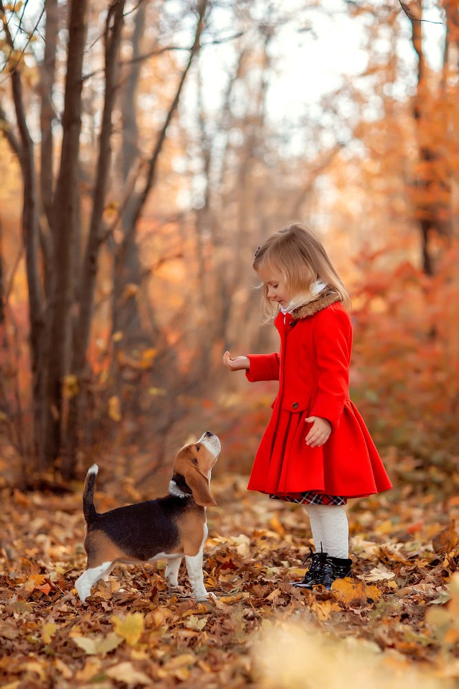 Photograph by Колесникова Анна