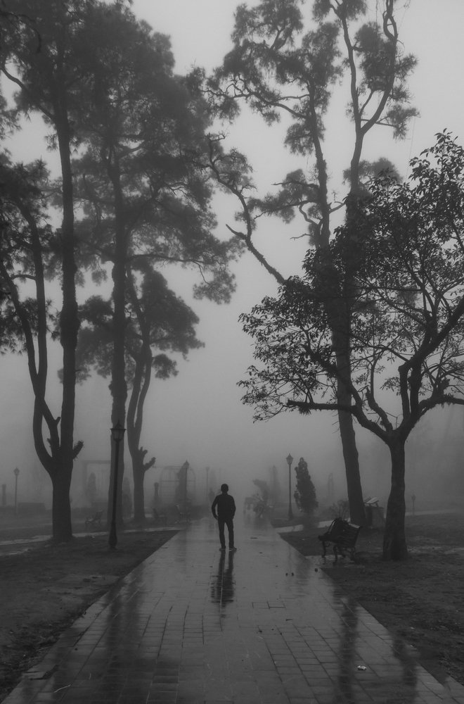 Photograph by Anh Tuấn Trần