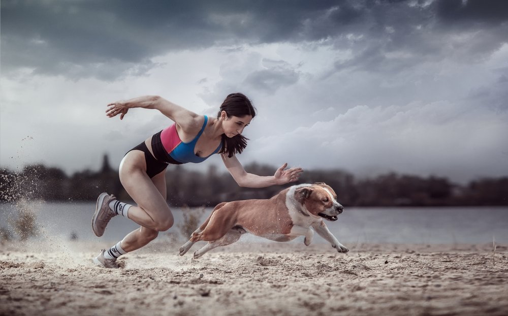 Photograph by Lustre